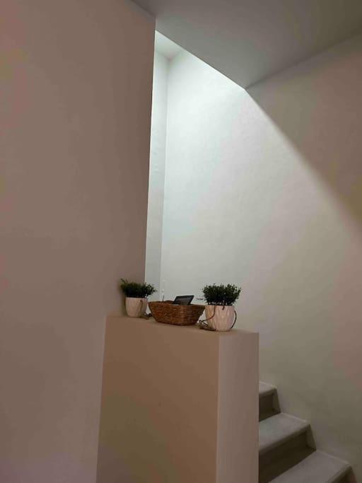 Casa Privada En Villa Bricia Cuernavaca Luaran gambar